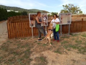 202310127 Campanya Excrements Cans SantJosep 3