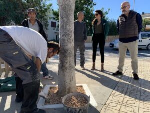 20231122 Paviments Drenants Alcorques SantJosep 2