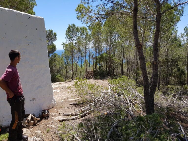 Actuación zona sa Creu d'en Ribes