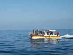 servicio limpieza litoral