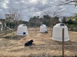 20231227 NaturaParc Igl&uacute;s Posidonia SantJosep 2