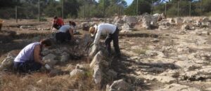 Excavaci&oacute;n