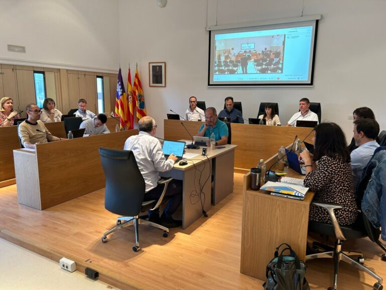 Pleno del consell de formentera