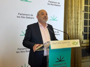 El diputado Sergio Rodr&iacute;guez.
