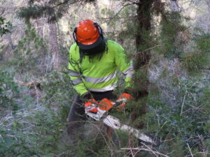 Actuaci&oacute;n en Sant Antoni para prevenir incendios forestales.
