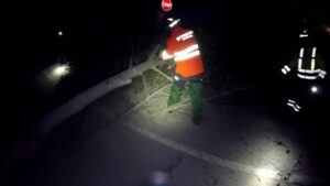 Los Bomberos de Ibiza trabajando para retirar los &aacute;rboles.