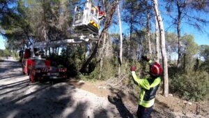 Los Bomberos de Ibiza trabajaron para solucionar el problema.