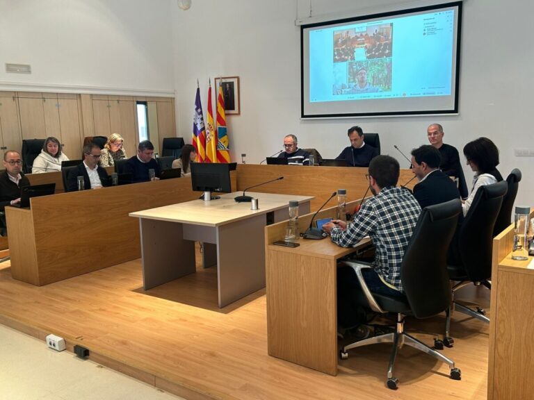 Pleno del Consell de Formentera.