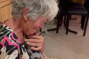 abuela y perrito