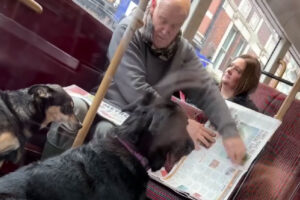 anciano y perro