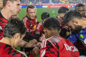 nyrb