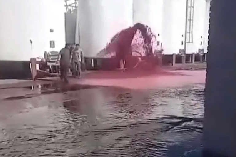 vino