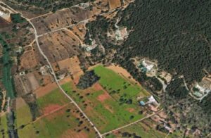&Aacute;rea afectada por el incendio en Santa Eul&agrave;ria.