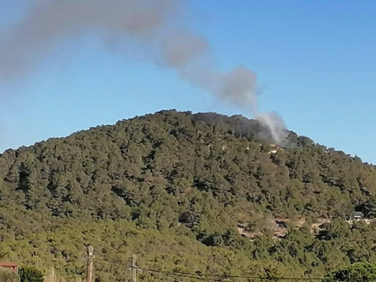 Columna de humo proveniente del incendio