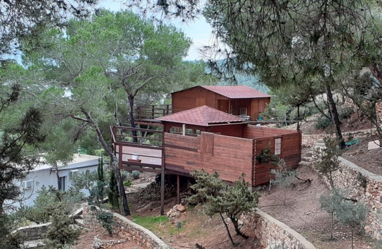 Edificaciones de madera en ses Salines.