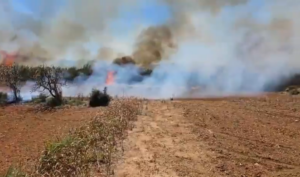 Incendio en Santa Eul&agrave;ria.