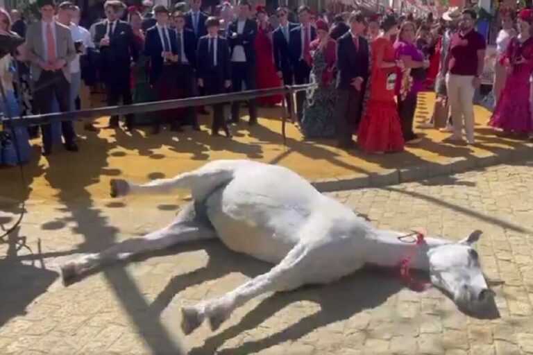 yegua feria sevilla