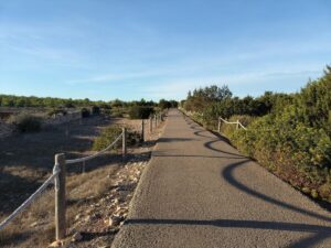 Camino Faro de Barber&iacute;a