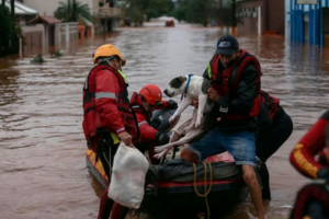 inundaciones Brasil animales