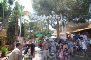 Hippy Market se renueva cada mi&eacute;rcoles