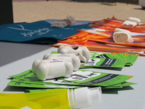 IMG 4985 (2)