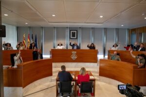 consell de Ibiza