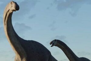 descubren nueva especie de dinosaurio