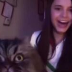 Video viral: un gato interrumpe a quien hoy es una famosa cantante mientras practicaba &oacute;pera