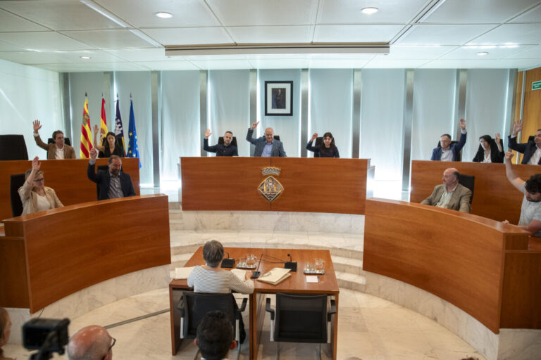 Pleno del Consell de Ibiza