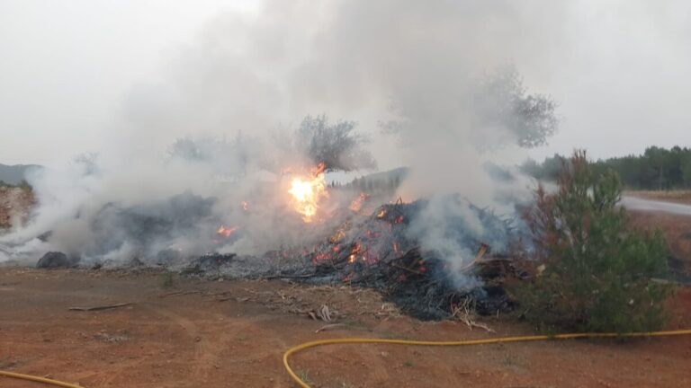 Incendio en la zona de Delabritja.