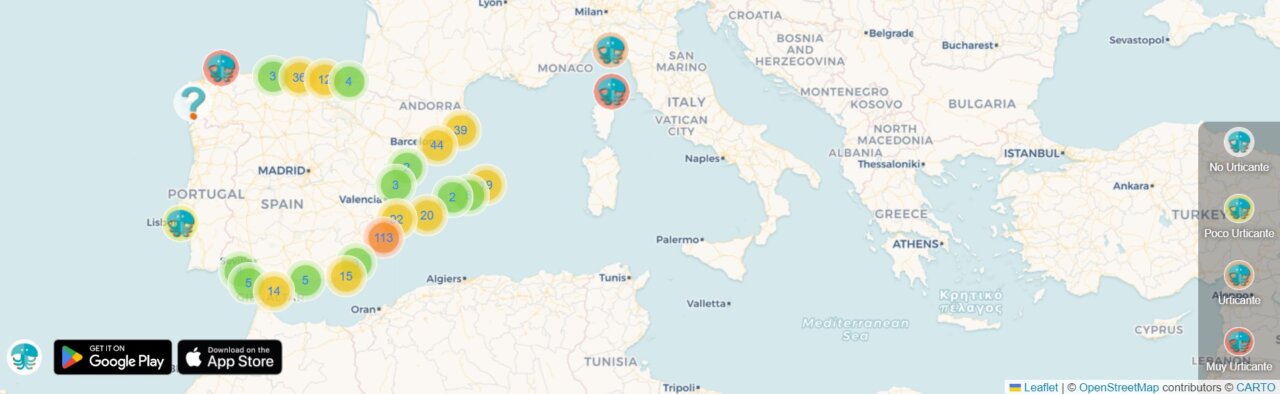 1 medusas ibiza playas españa