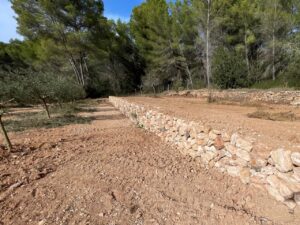 Entorno rural de Santa Eul&agrave;ria.