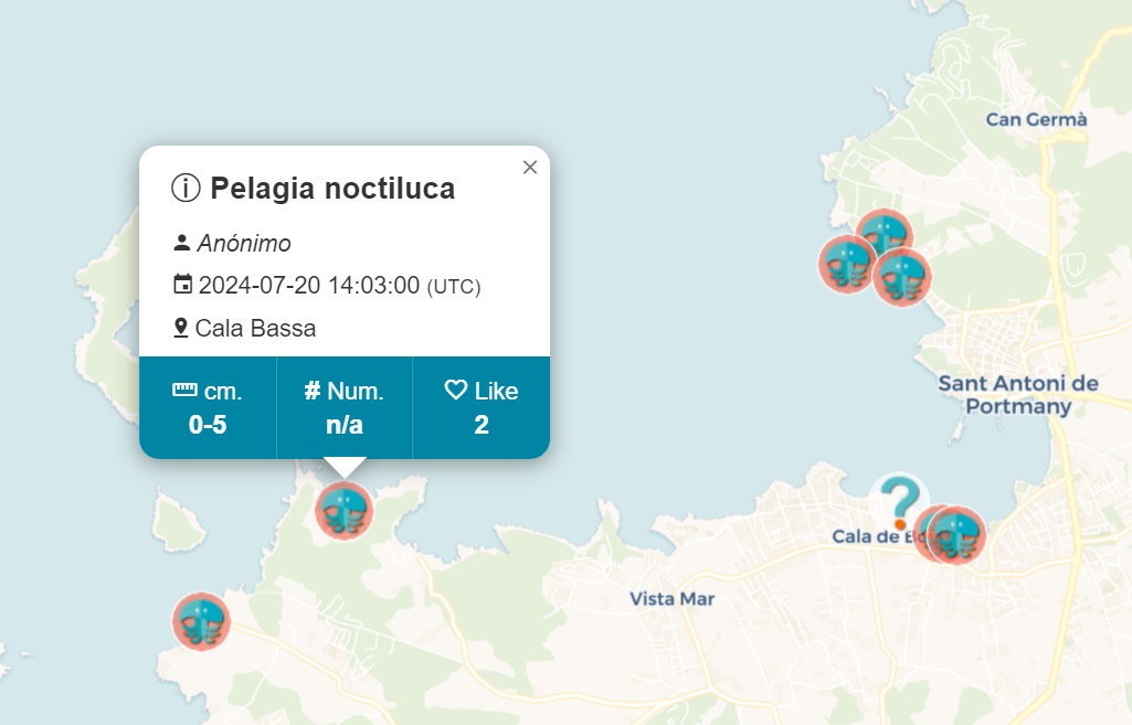 3 medusas ibiza playas españa