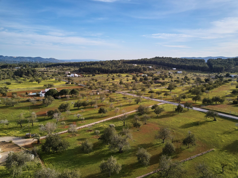 Agricultura en Ibiza.