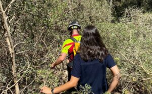 Bomberos de Ibiza en el bosque.