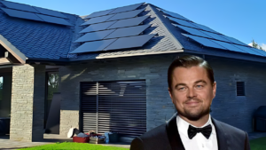 Paneleres Solares y DiCaprio.
