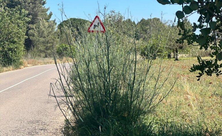 Cuneta en Sant Joan.