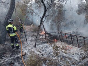 Incendio forestal en Santa Eulària.