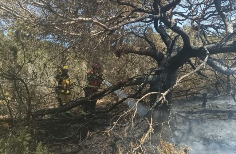 Incendio Forestal en el Parque Natural de ses Salines en Formentera.