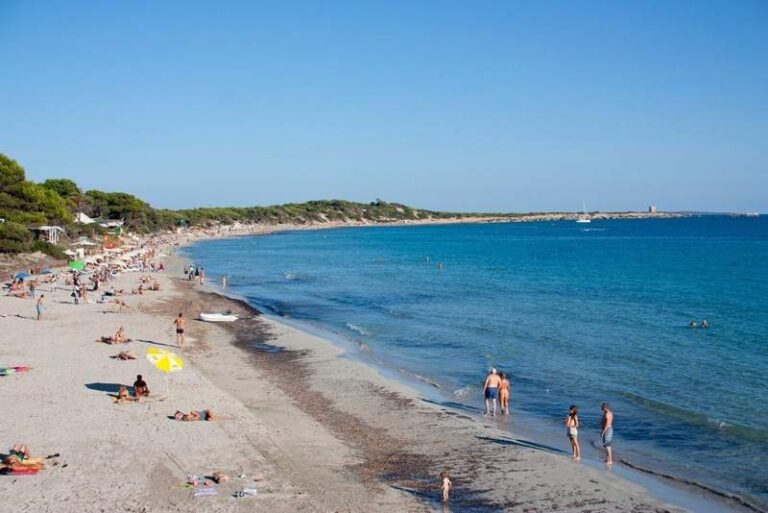 Playa Sant Francesc de s'Estany.