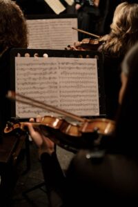Violinista