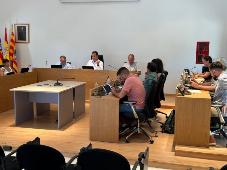 Pleno del Consell de Formentera.