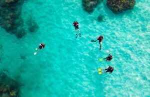 buceo