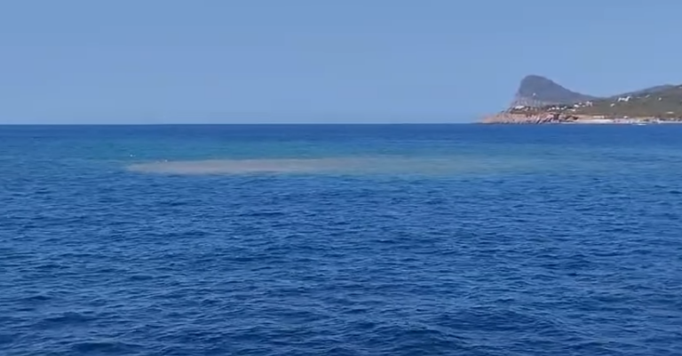 Vertidos en la bahía de Portmany.