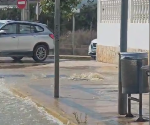 Aver&iacute;a en Cala de Bou.