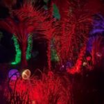 Festes de Sant Bartomeu 2024: el espectáculo ‘Astro Magic Lights’ suma dos fechas más por alta demanda