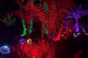 Festes Sant Bartomeu 2024: el espect&aacute;culo 'Astro Magic Lights' suma dos fechas m&aacute;s por alta demanda