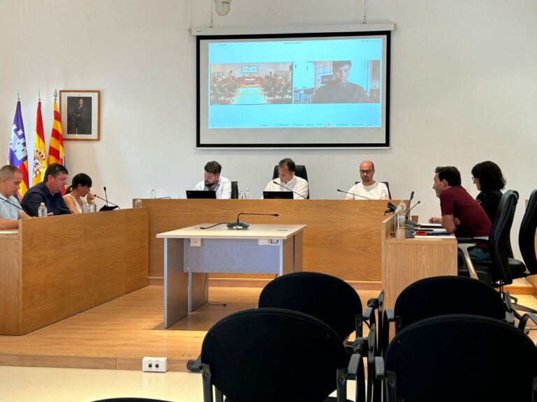 Pleno del Consell de Formentera.