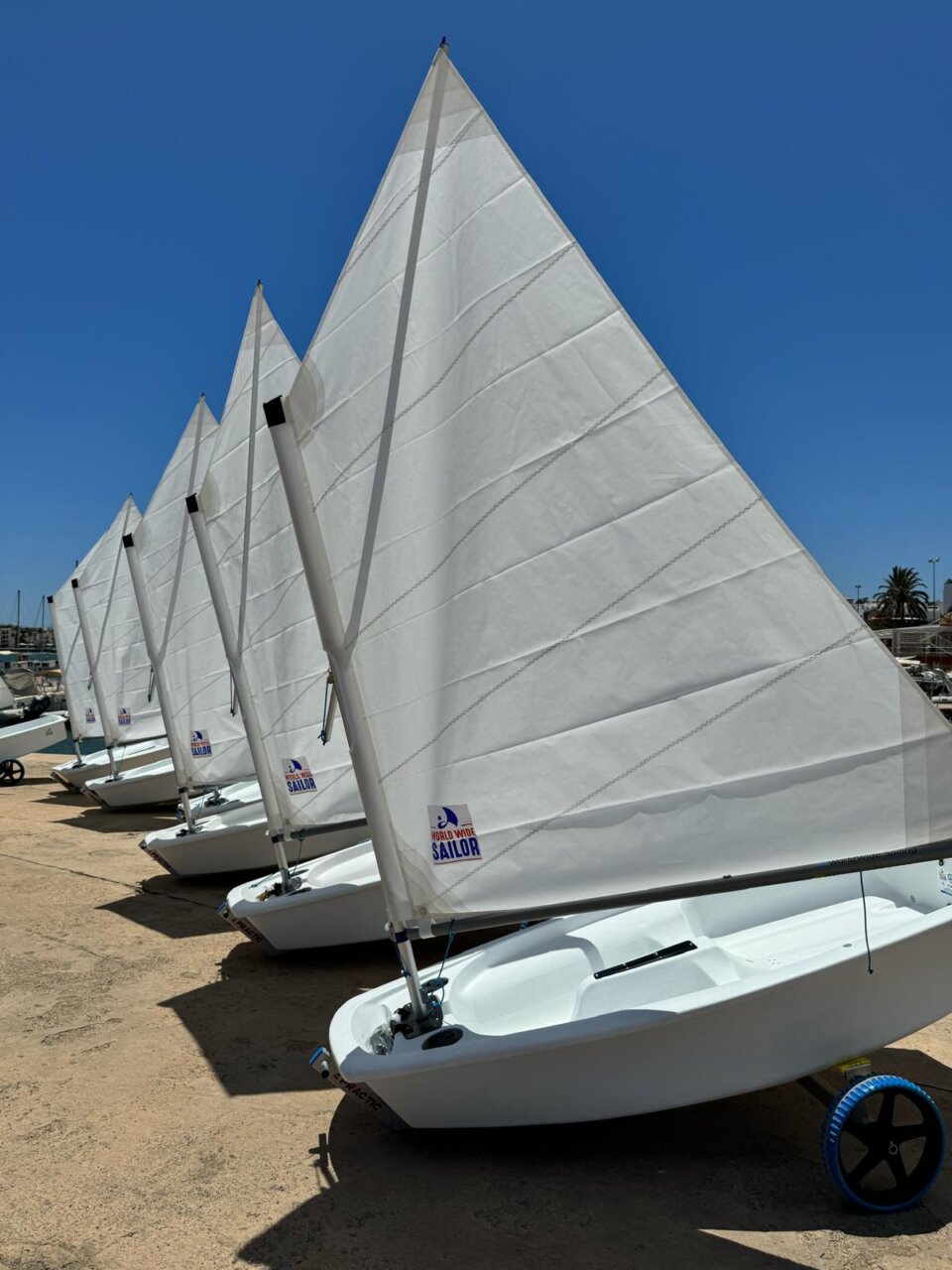 Optimist del Club Mare Nostrum, en las instalaciones de Port Nàutic Ibiza. Optimist del Club Mare Nostrum, en las instalaciones de Port Nàutic Ibiza.