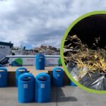 Hipocresía total en el puerto de Ibiza: la APB gasta un dineral en papeleras ecológicas para luego mezclar la basura